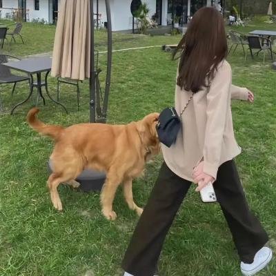 草原上的人们